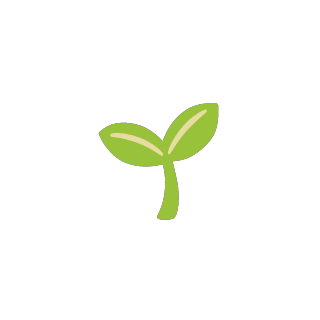 1_starter_one_word_domain (1)